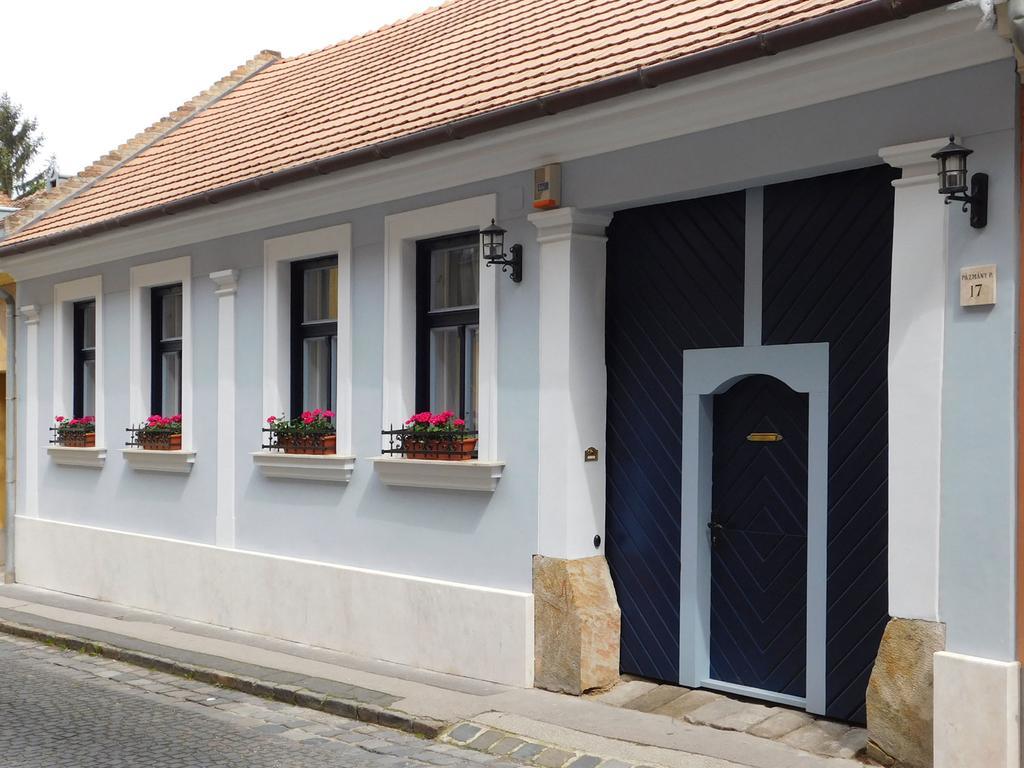 Ister Guesthouse Естергом Екстериор снимка